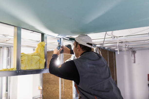 Best Attic Insulation Installation  in St Charles, MN